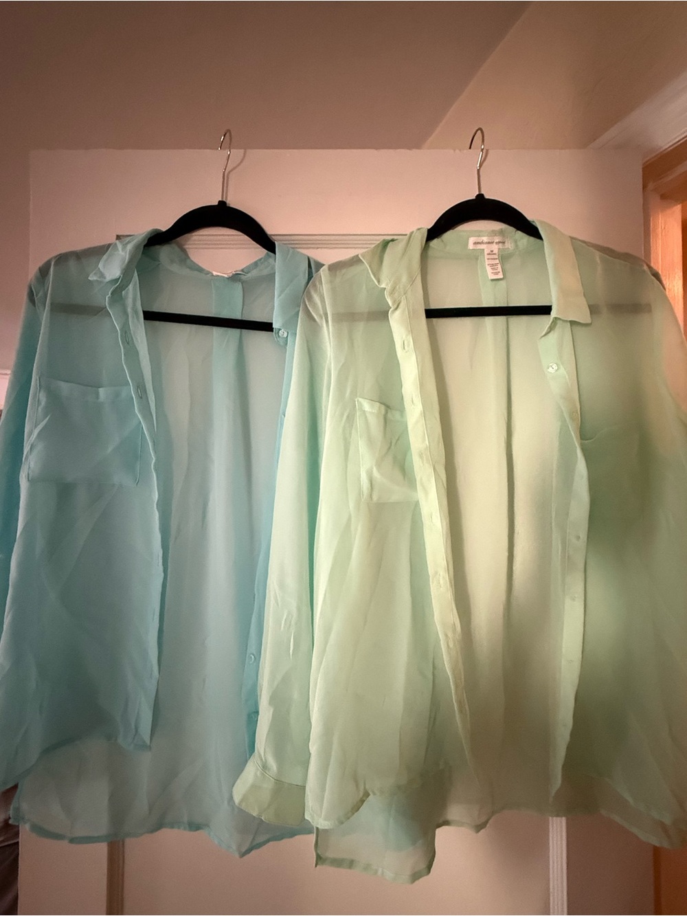 2 Sheer Button Down Shirt in mint and light blue